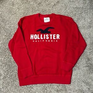 Size Medium Hollister sweater/sweatshirt